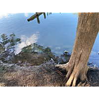 King tide image